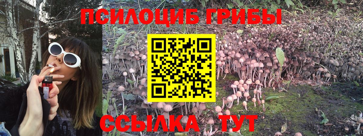 Галлюциногенные грибы MAGIC MUSHROOMS Гурьевск